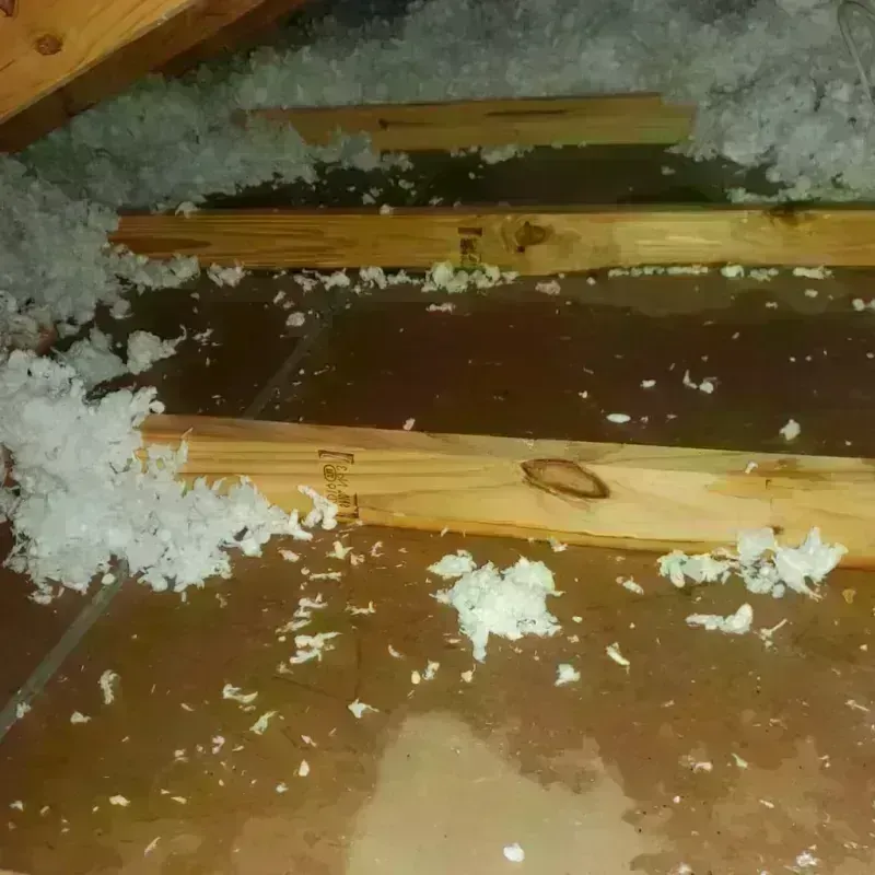 Attic Water Damage in Altavista, VA